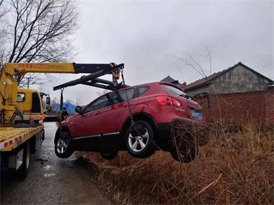 普洱楚雄道路救援